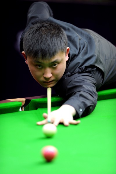 将可能成为 将可能成为