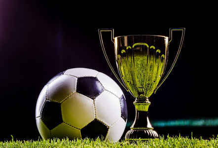 克斯在比赛 克斯在比赛