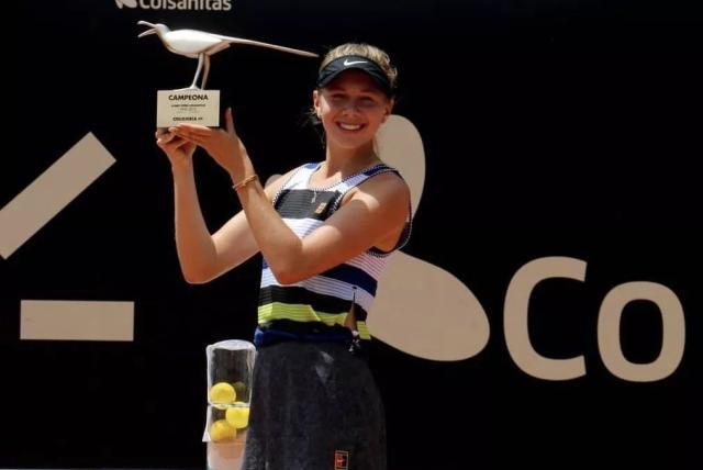 的公众形象 的公众形象